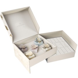 Purelei® Hawaii's Elements Jewelry Set (Rose Gold) – 25 Jewelry Pieces Including a Beautiful Gift Box – Waterproof Women's Jewelry – Gift for Women – Reusable as a Jewelry Organizer