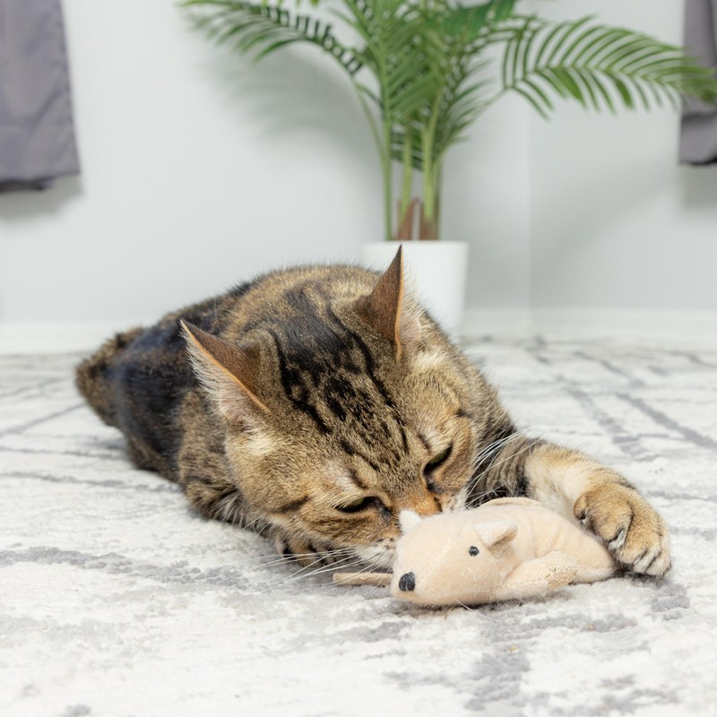 SPOT Flat Mouse Frankie with Catnip - Cat Toy, Fuzzy