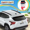 Tenna Tops Frosty Snowman Car Decor Antenna Topper Auto Accessory