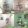 NATURE'S SOURCE Corner Floating Shelves with Invisible Brackets, Corner Shelves