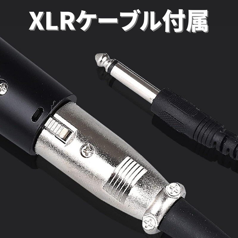 Fujirec Dynamic Microphone XLR Phone Cable Vocal Wired Hand Mic