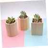 Operitacx Sets Wooden Desktop Stationery Holder Pen Pencil Succulent Pot