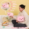 AIXINI Cute Pink Axolotl Plush Pillow 15.7" Luminous Salamander Axolotl