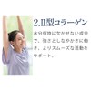 Ogaland Proteoglycan Sante Sante (180 Tablets / Approx. 6 Months