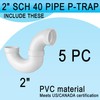 (2" PVC P-Trap, 5 Pack) Asterbacks 2 inch PVC P-Trap