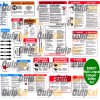 Bandit / Brush Bandit Multi Lingual Chipper Safety Decal Set