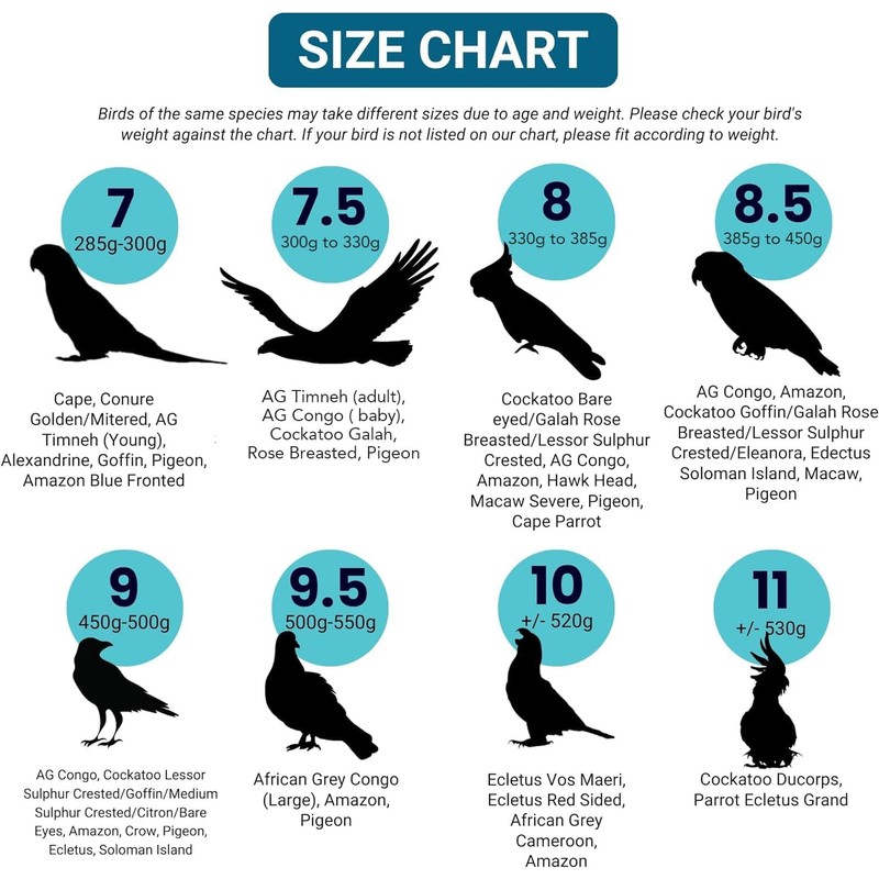 Bev's Birds Boutique Regular Flyper - Bird Diaper (13, Retro