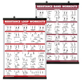 QUICKFIT 2 Pack - Resistance Bands and Resistance Loops Workout Posters - Set of 2 LAMINATED Charts - Resistance Band Tubes and Loops Exercise Charts (Laminated WITH PLASTIC FRAME, 18" x 24")