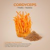 CORDYCEPS Mushroom Extract Powder (200 Gram)