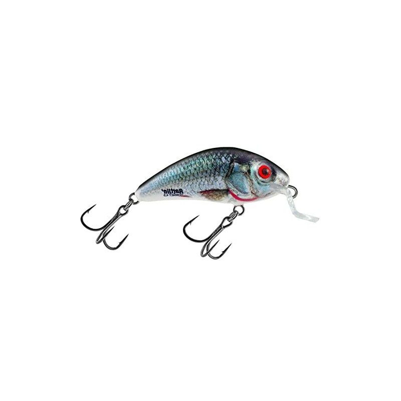 Salmo Wobbler Rattlin Hornet Shallow Holo Real Dace 3.5 cm