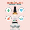 HERBAFLUSH Intestinal Cleanse Organic Tincture / 2 Week Cleanse
