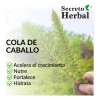 Kit Shampoo Anticaída Y Acondicionador Secreto Herbal 1l