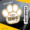 Recording, Sticker, Paw Sticker, 3.5 x 3.1 inches (9 x