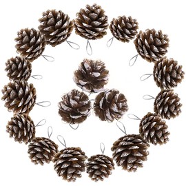 Natural Pine Cones Ornament, 18 PCS Christmas Snow Pinecones Decoration for Diy Crafts, Indoor and Outdoor Decor (1.57inch/ 4cm)
