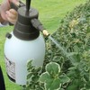 Faithfull FAISPRAY2 Hand Held Garden Pressure Sprayer 2 Litre Includes