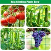 Trellis Netting for Climbing Plants, 6.6x9.85 FT Heavy Duty Garden