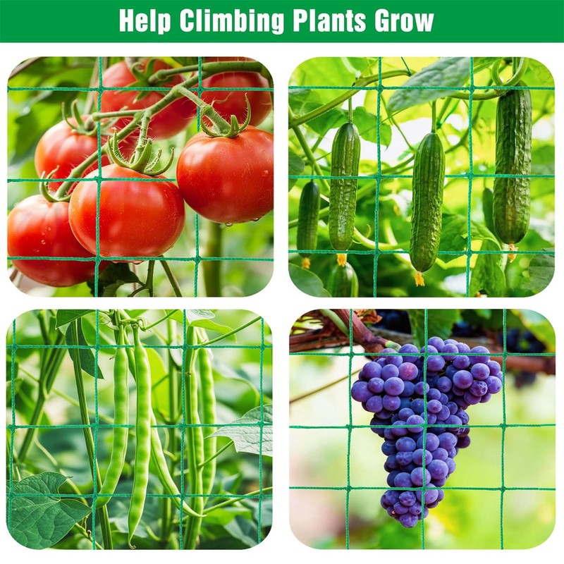 Trellis Netting for Climbing Plants, 6.6x9.85 FT Heavy Duty Garden