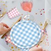 140 Pcs Camp Gingham Paper Plates and Napkins Gingham Checkered