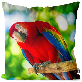 VOID Light Red Macaw Parrot Cushion Cover Sofa Cushion Decorative Outdoor Cushion Size: 50 x 50 cm