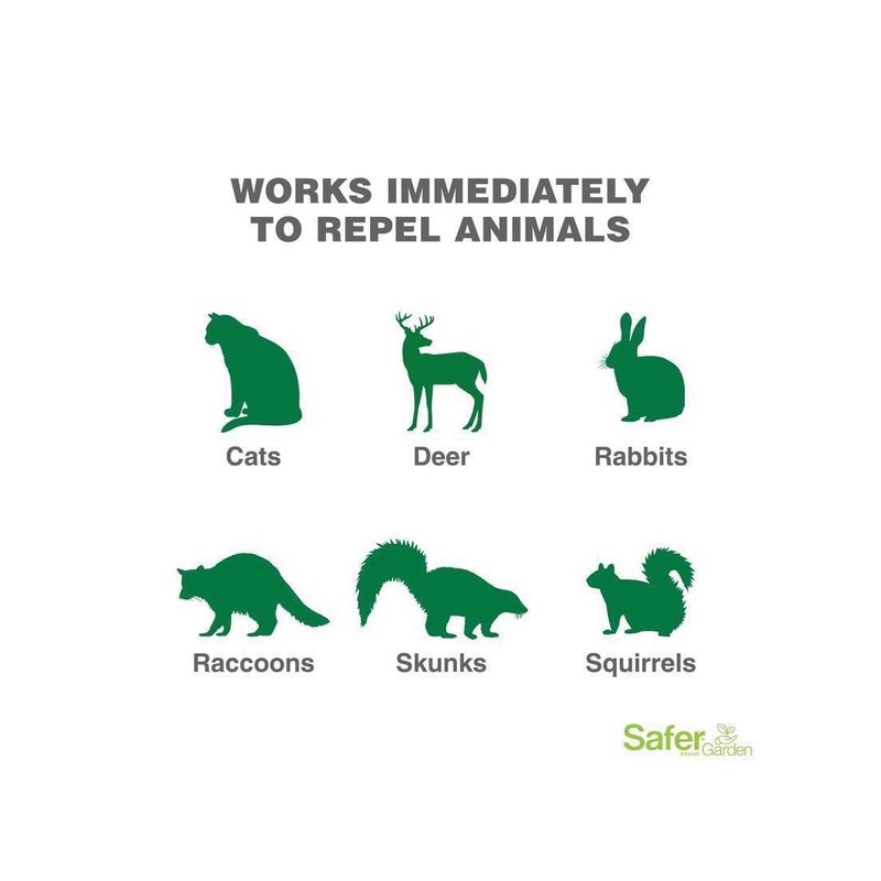 Safer Brand 5935 Critter Ridder Animal Repellent Ready-to-Use Spray-32 RTU,
