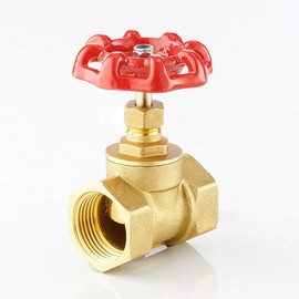 BE-TOOL Shut-Off Valve DN25 Female to Female Valve Brass Two Way Gate Valve for Water Gas Steam Oil (Pack of 1)