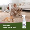 VermExon Peppermint Oil Insect & Pest Control Spray – 16oz