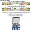 PENGLIN USB 3.1 Type C Male 24-Pin Female Adapter for