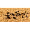 12 Flies - Bead Head Black Micro Mayfly Nymph Fishing