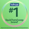 Softsoap Soothing Clean Liquid Hand Soap Refill, 50 Ounce