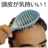 Kinugawa Company W Hair! Shampoo & Treatment Scalp Brush ShamP