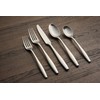 Cambridge Silversmiths Katerina Satin 20-Piece Flatware Set, Service for 4,Silver