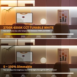 PAUTIX CCT COB LED Strip Light White Tunable 3200LEDs,CRI90+ 16.4ft/5m Dimmable 2700K-6500K 24V LED Tape Lights Kit,Work with Alexa/Google Assistant,for Under Cabinet Bedroom Kitchen DIY Lighting