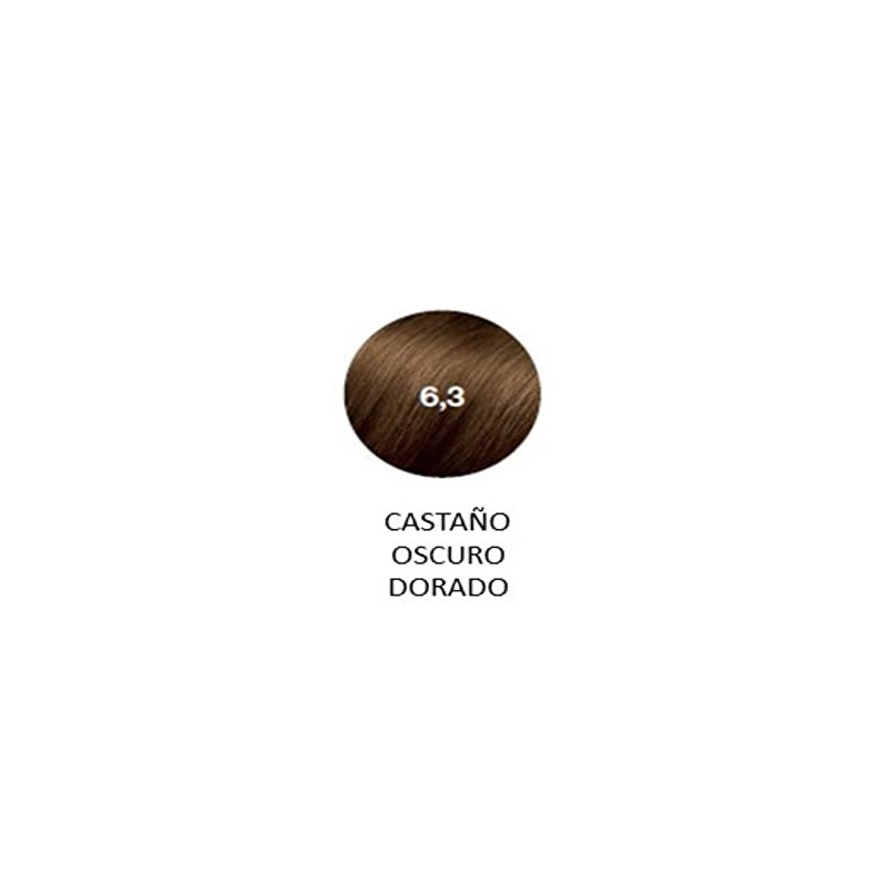 PHILIP MARTIN'S Philip martin's true color # 6.3 castano oscuro