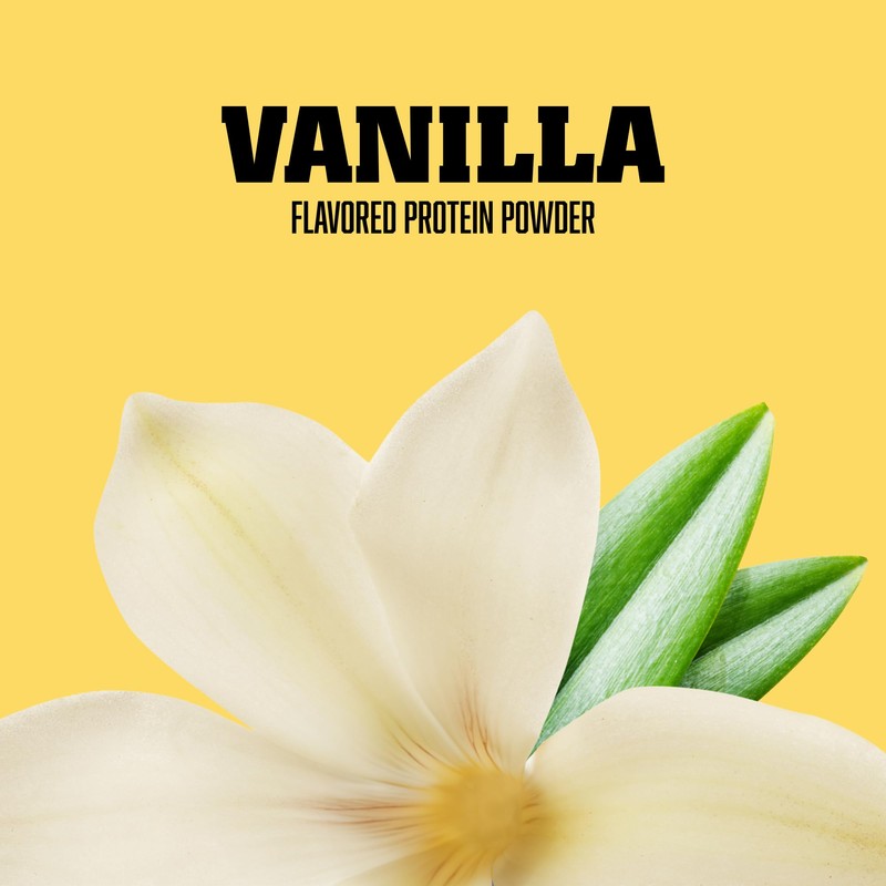 American Body Building (ABB Pure Pro Protein Powder, Vanilla, 33