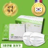 Phils Co., Ltd. K2 Dental Mask Domestic Cute Summer 2000