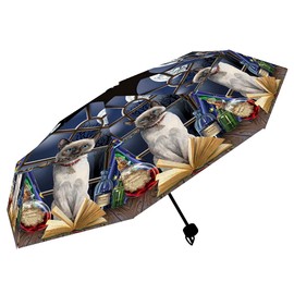 Nemesis Now Hocus Pocus (LP) Umbrella, Multi-Colour, 55 cm
