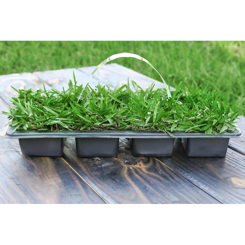 SodPods St Augustine ProVista Grass Plug Tray (16-Pack)