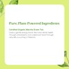 PURE SYNERGY Matcha Power - Organic Matcha Green Tea Capsules