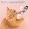 YBGGJO Cat Balls for Play, 12 Pieces, Random Rolling, Cat