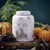 New English Teas Beatrix Potter Caddy with 80 Teabags, English