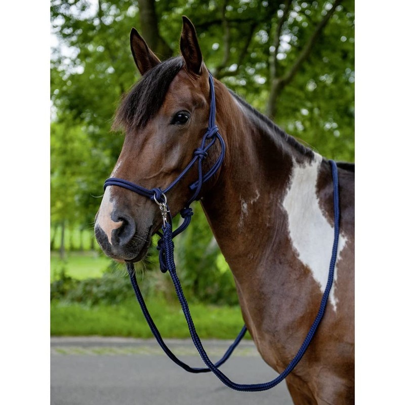 HKM Knot Halter with Reins Horse Halter Black Thoroughbred