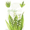 Pack of 3 Large Scented Sachets Lily of the Valley