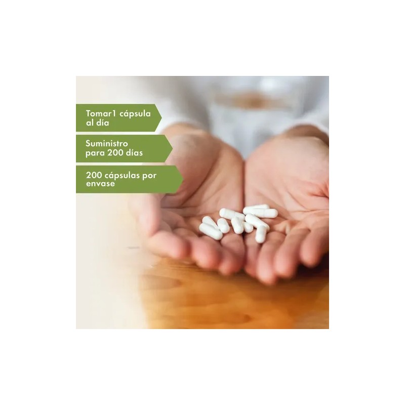 Suplemento en cápsula Newmanity Minerales/Vitaminas de Thyro-T x 200cápsulas