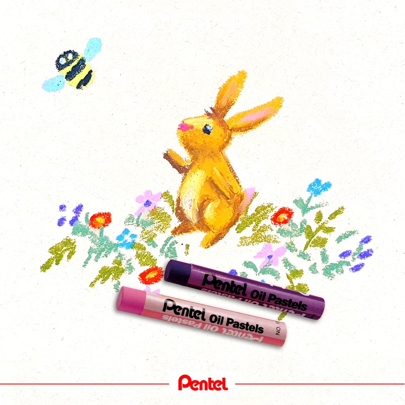 Pentel PHN4-50 Oil Pastels - Pack of 50