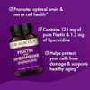 Dr. Mercola- Fisetina y Espermidina, 30 Porciones (30 Cápsulas), Suplemento