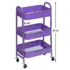 AGTEK Makeup Cart, Movable Rolling Organizer Cart, 3 Tier Metal
