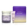 Isa Knox Vital Collagen Essential Cream Special Special Set /