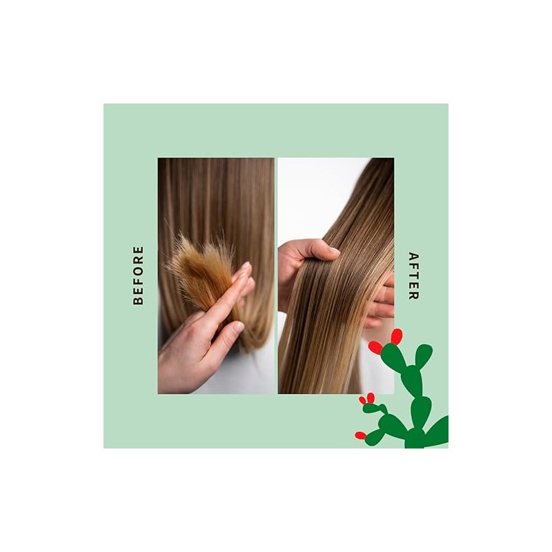 Shaeri Aceite de Cuidado Multiusos - Aceite Capilar para Cabello