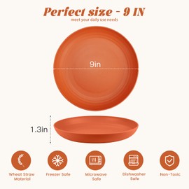 Homienly Wheat Straw Plates, 12-Pieces Unbreakable Dinner Plates - 9 Inch Alternative to Plastic Plates Microwave and Dishwasher Safe Plates Lightweight Plates for Kitchen, Camping, Party - Multi