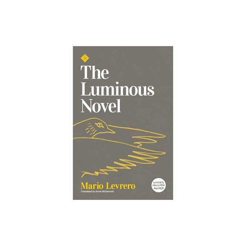 The Luminous Novel